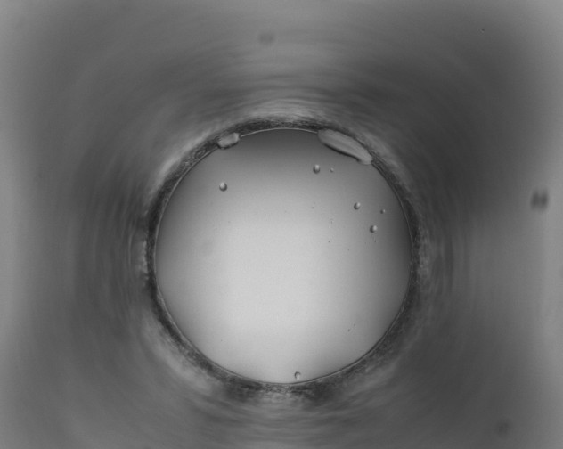 X0000112410399200908281819