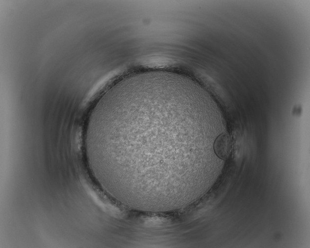 X0000112410400200908281819