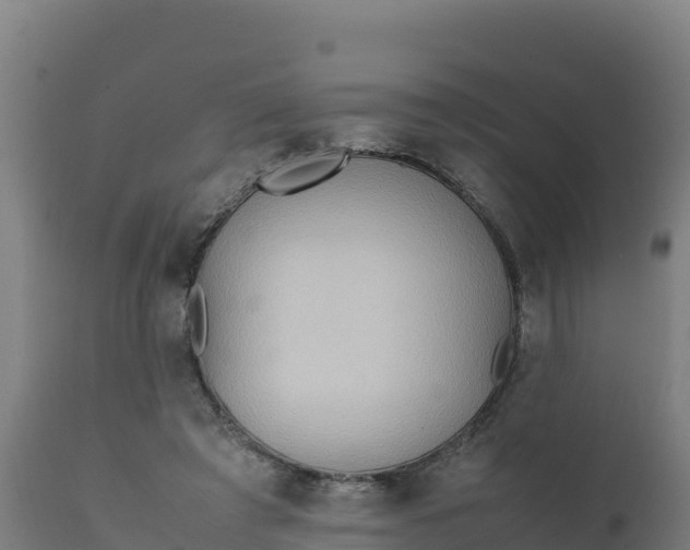 X0000112410401200908281819