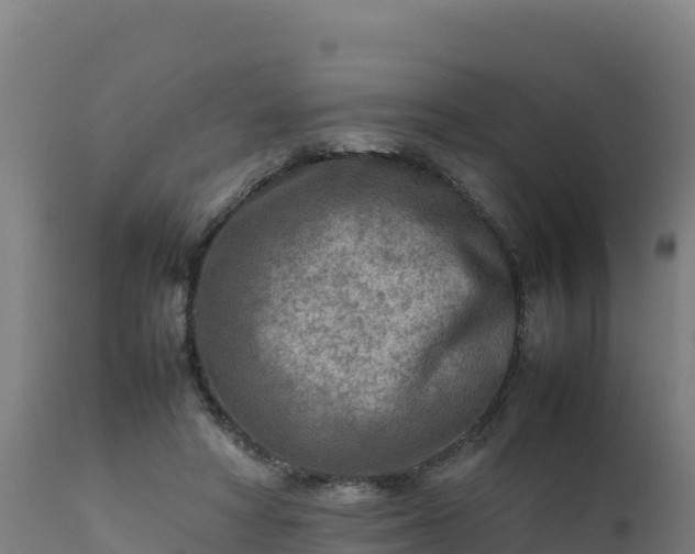 X0000112410402200908281819