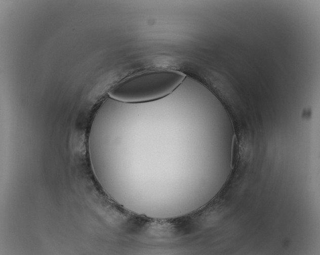 X0000112410403200908281819