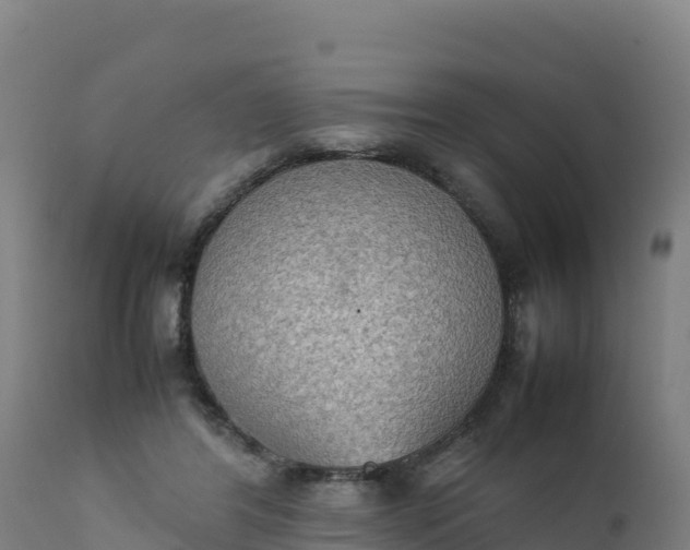 X0000112410404200908281819