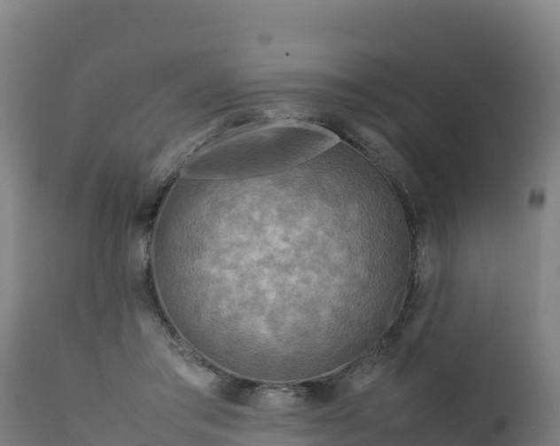 X0000112410405200908281819