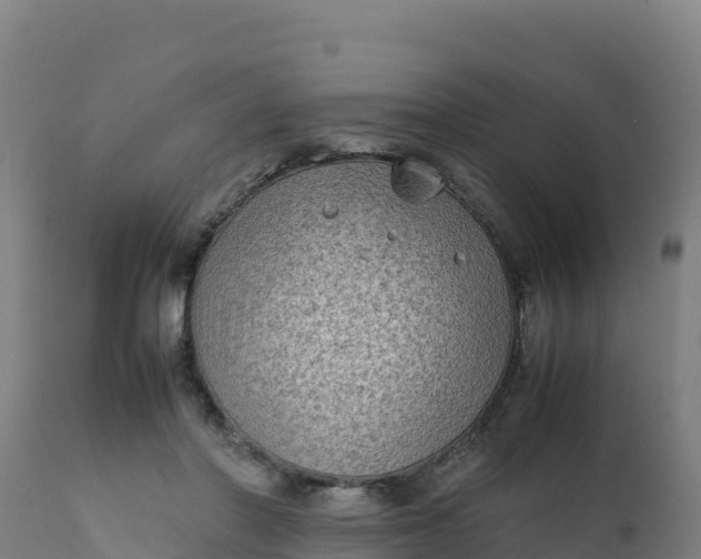 X0000112410406200908281819