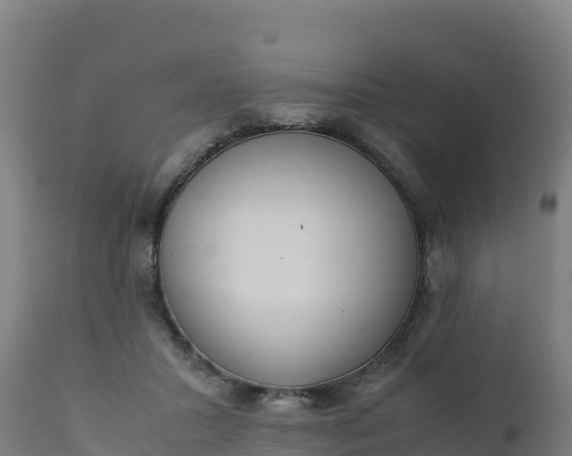 X0000112410407200908281819