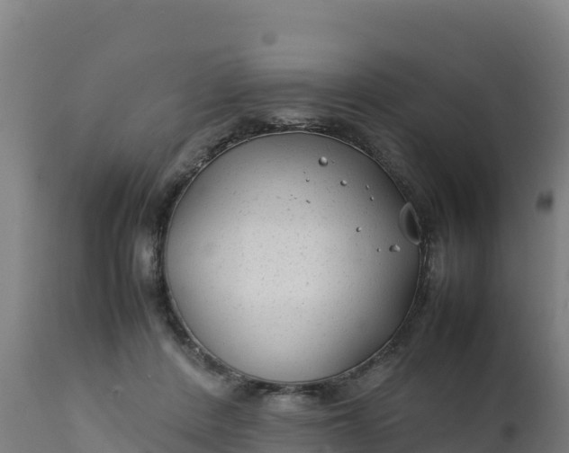 X0000112410408200908281819