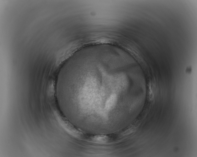 X0000112410410200908281819