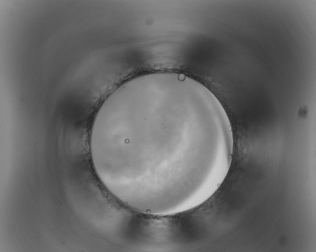 X0000112410411200908281819