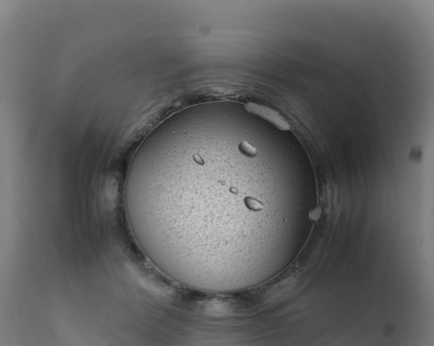 X0000112410412200908281819