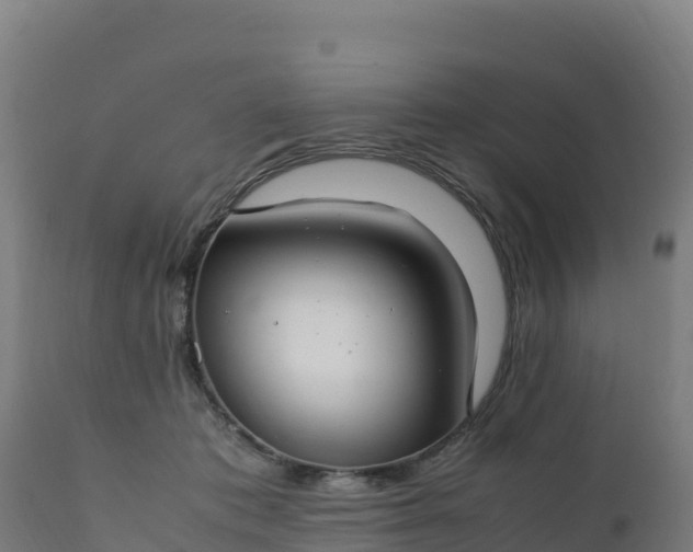 X0000112410413200908281819