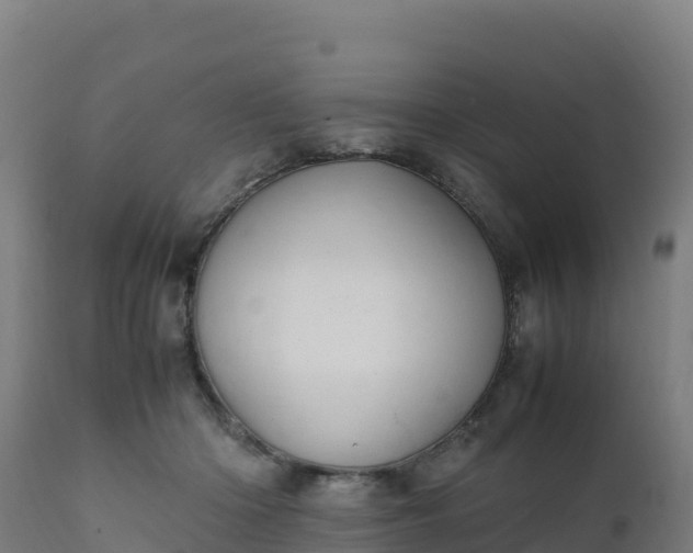 X0000112410414200908281819