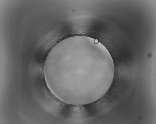 X0000112410415200908281819