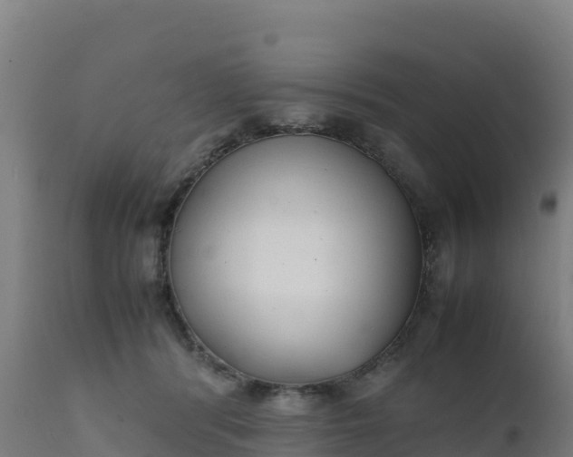 X0000112410416200908281819