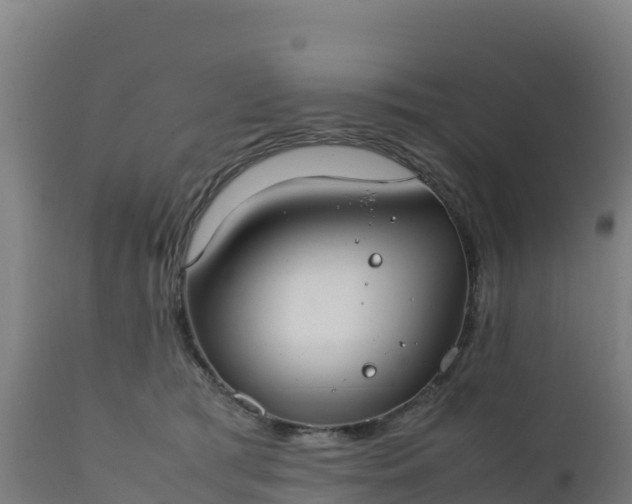 X0000112410417200908281819