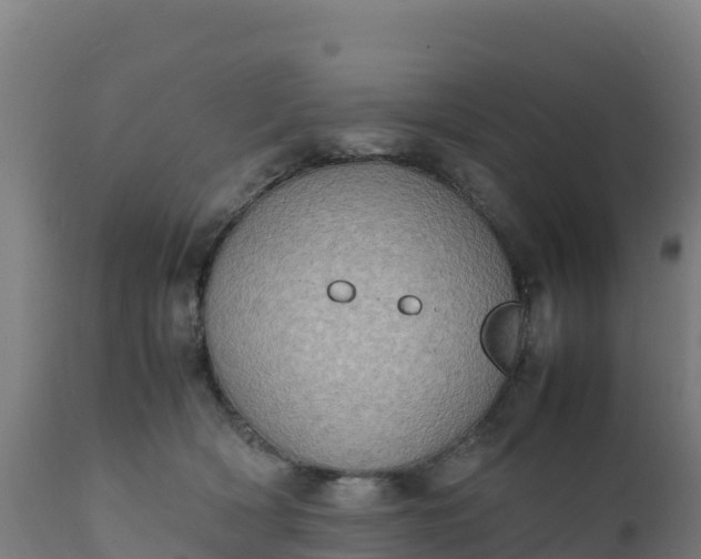 X0000112410418200908281819