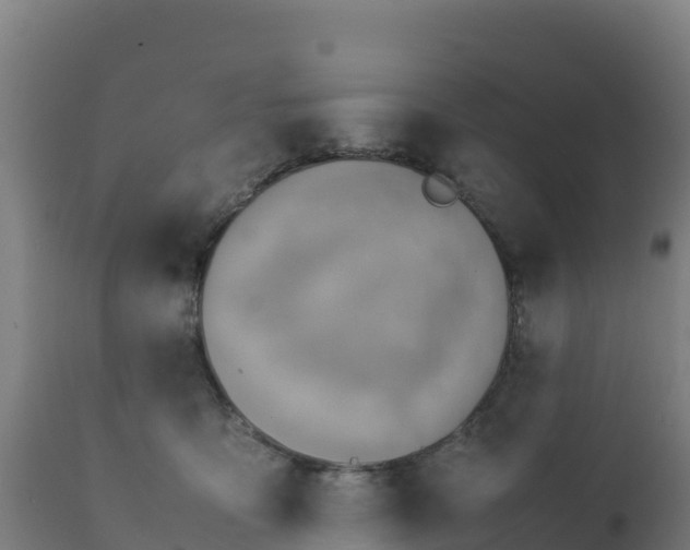 X0000112410419200908281819