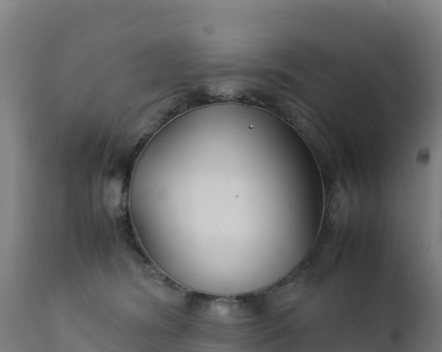 X0000112410420200908281819