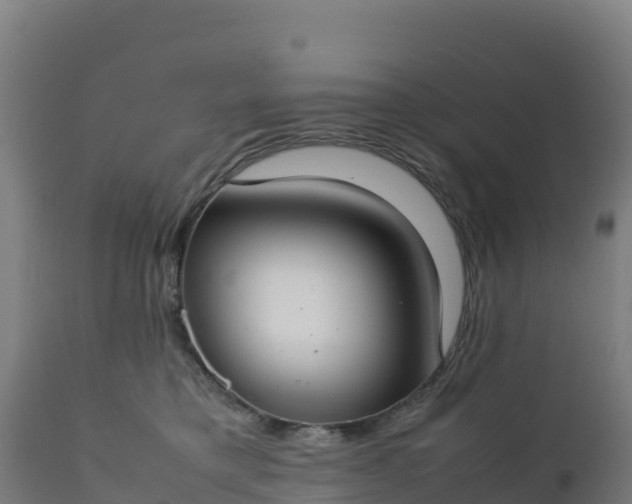 X0000112410421200908281818