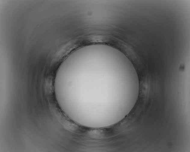 X0000112410422200908281818