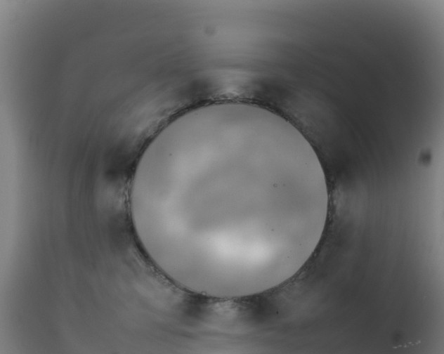 X0000112410423200908281818