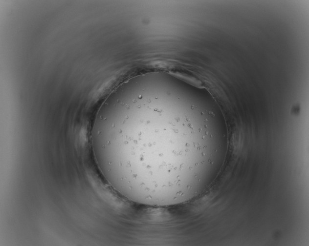 X0000112410424200908281818