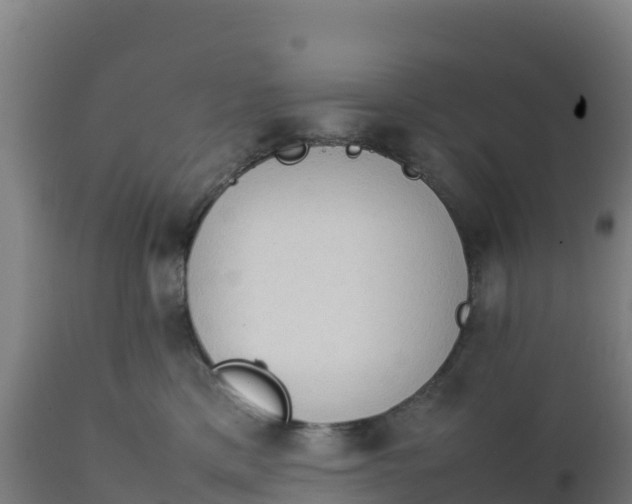 X0000112410425200908281818