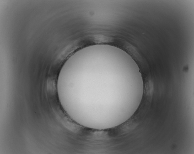 X0000112410426200908281818