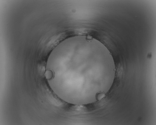 X0000112410427200908281818