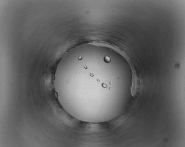 X0000112410428200908281818