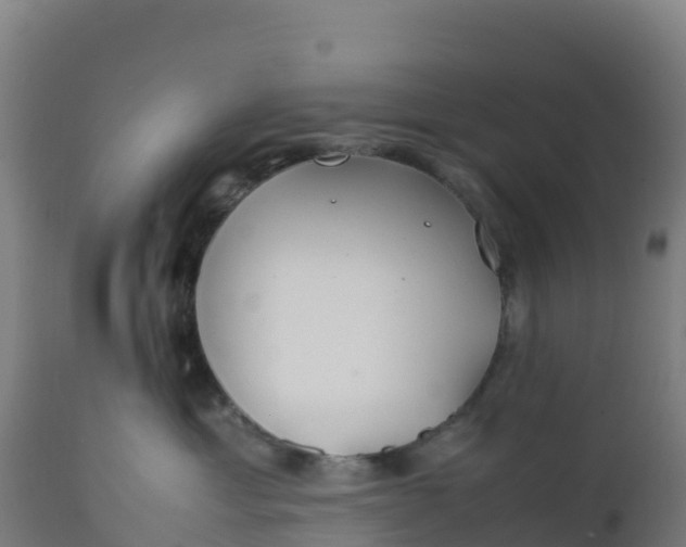 X0000112410429200908281818