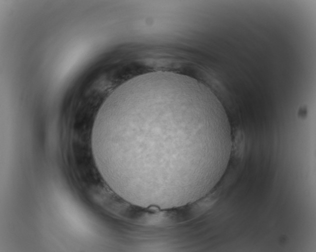 X0000112410430200908281818