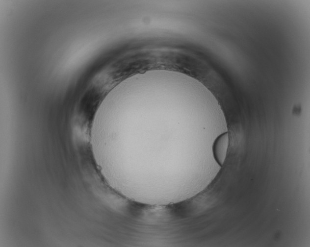 X0000112410431200908281818