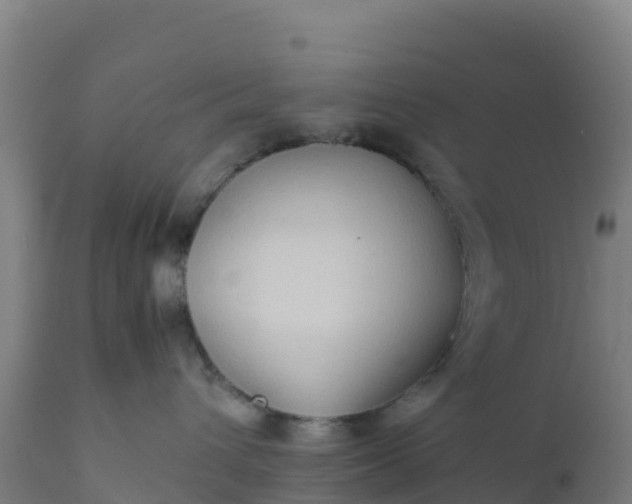 X0000112410432200908281818