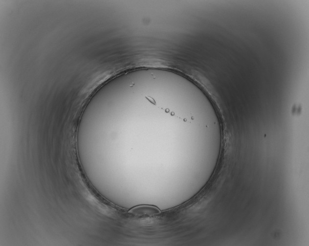 X0000112410433200908281817