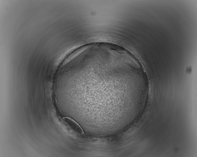 X0000112410434200908281818