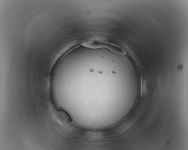 X0000112410435200908281818