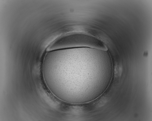 X0000112410436200908281818