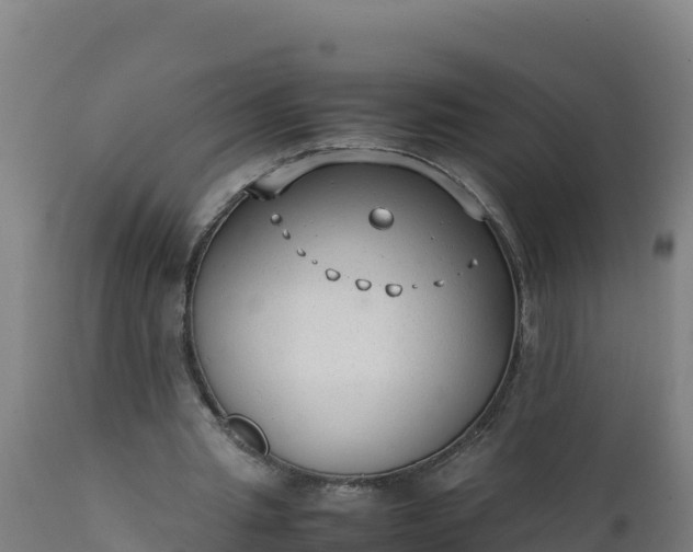 X0000112410437200908281818