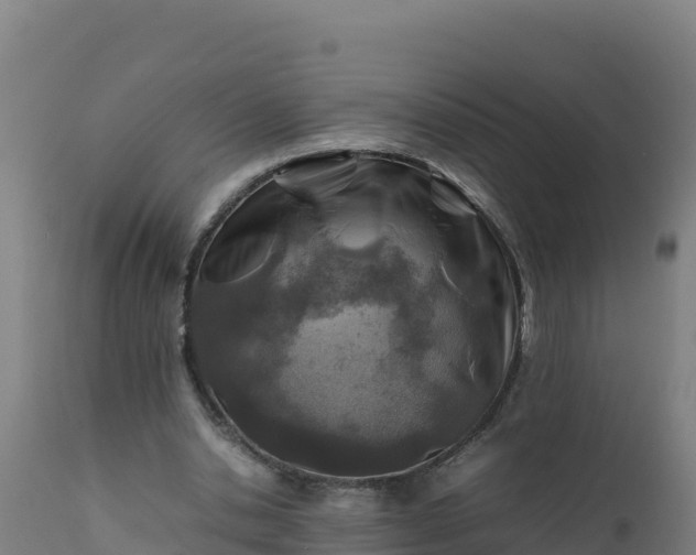 X0000112410438200908281818