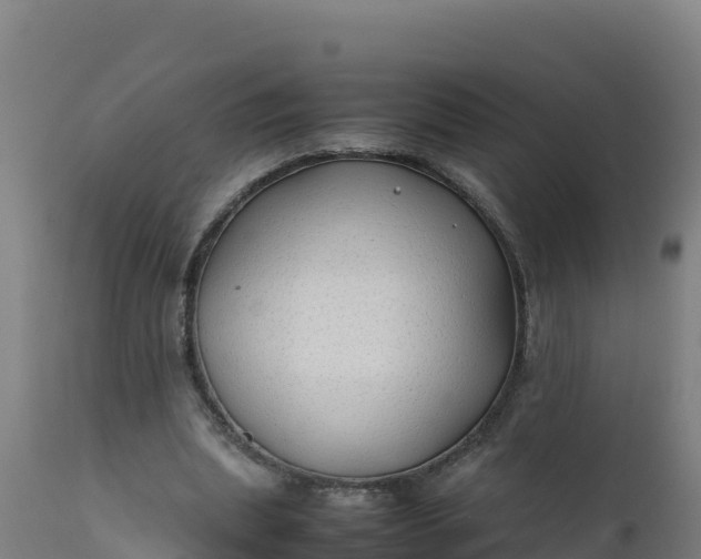 X0000112410439200908281818