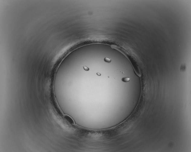 X0000112410440200908281818