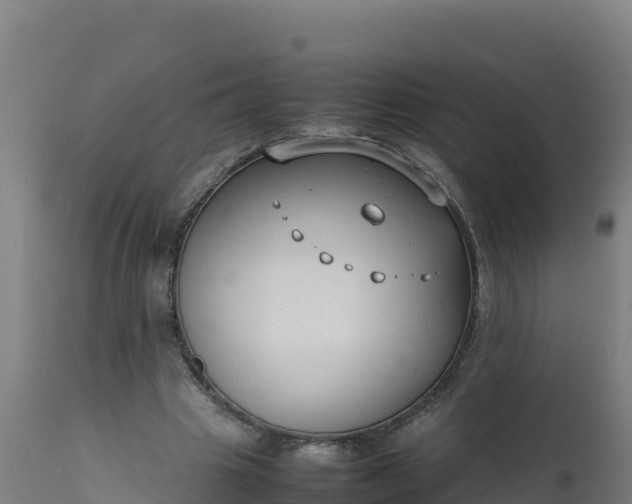 X0000112410441200908281818