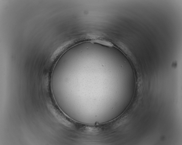 X0000112410442200908281818