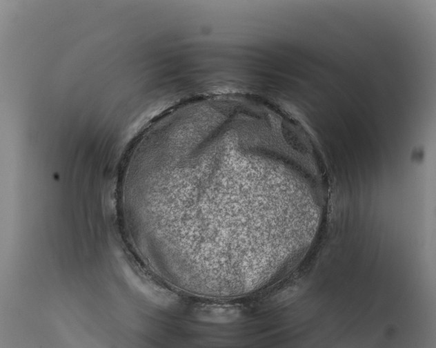 X0000112410443200908281818