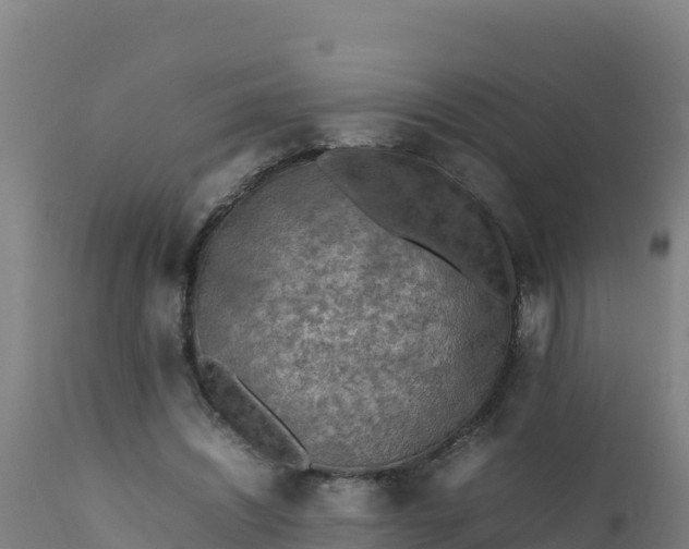 X0000112410444200908281818