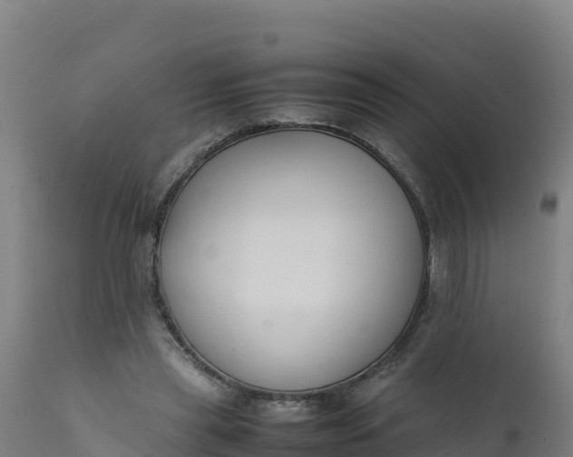 X0000112410445200908281818