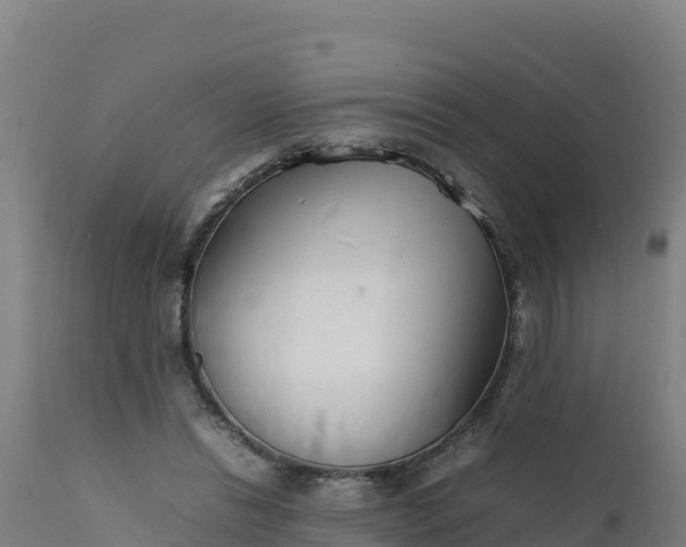 X0000112410446200908281818