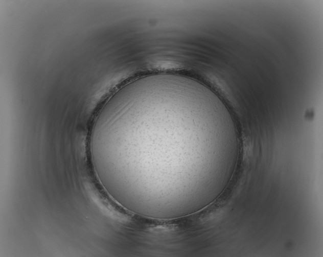 X0000112410447200908281818