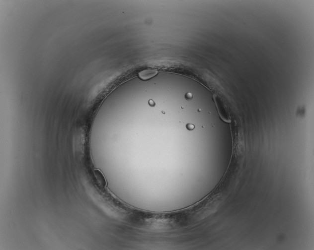 X0000112410448200908281818