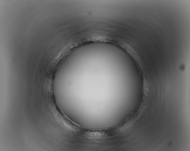 X0000112410449200908281818